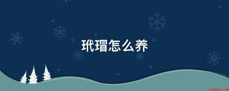 玳瑁怎么养(玳瑁饲养的方式_新闻中心)