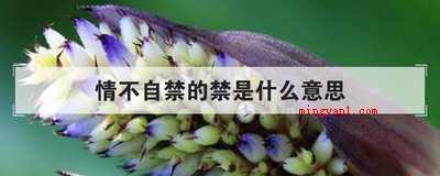 情不自禁的禁是什么意思（简略回应不由自主,源于南朝梁刘遵《七夕穿针》诗,意思是感情兴）