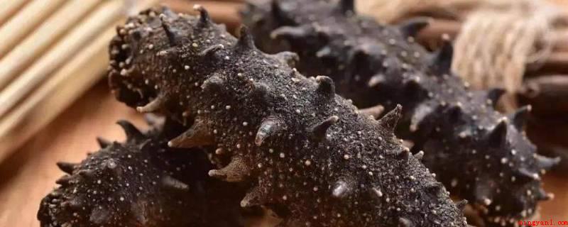 干海参泡发的正确方法（海参放到整洁无水和油器皿中,倒进矿泉水未过海参,隔天取下反复）