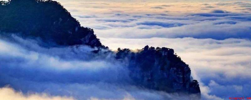 庐山的云雾有什么特点(庐山的云雾有形态各异、变幻莫测2个特性)
