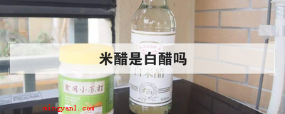 米醋是白醋吗(简略回应米醋并不是白醋)