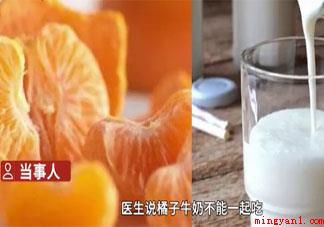 橘子和牛奶不能同时吃吗 吃了橘子还能喝牛奶吗 橘子和牛奶不能同时吃吗(橘子和牛奶不可以同时吃吗 吃完橘子还能喝牛奶吗)