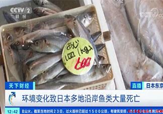 日本秋刀鱼价格暴涨 秋刀鱼营养价值怎样 日本秋刀鱼价格暴涨(日本秋刀鱼价格暴涨是什么原因)