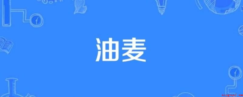 被你油麦到了啥意思(被你油麦到了的意思是被你幽默到了,油麦是幽默的谐音)