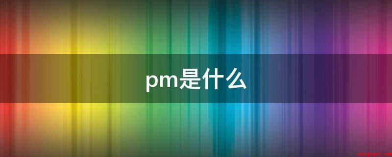 pm是什么(pm是以项目为目标的管理信息系统方式)