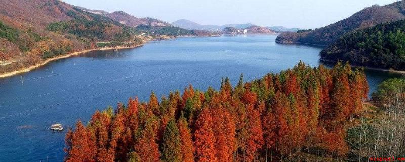 庐江是哪里（庐江坐落于安徽中间,属巢湖市管辖,北临巢湖,南近）