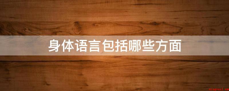 身体语言包括哪些方面(身体语言是人们开展沟通交流的表达形式)