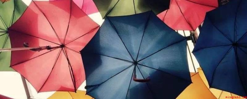 什么的雨伞(雨伞的英语Umbrella)