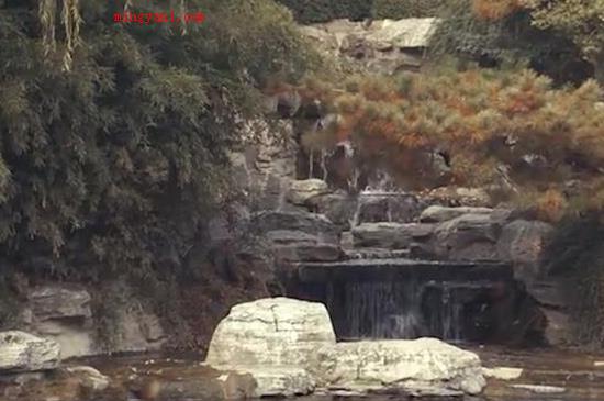 济南有什么好玩的地方(济南好玩的旅游景点有哪些?)