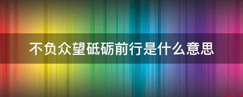 不负众望砥砺前行是什么意思(中国明朝思想家、程朱理学中心学一派的代表人物王守仁,世称阳明)