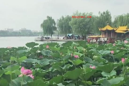 济南有什么好玩的地方(济南好玩的旅游景点有哪些?)