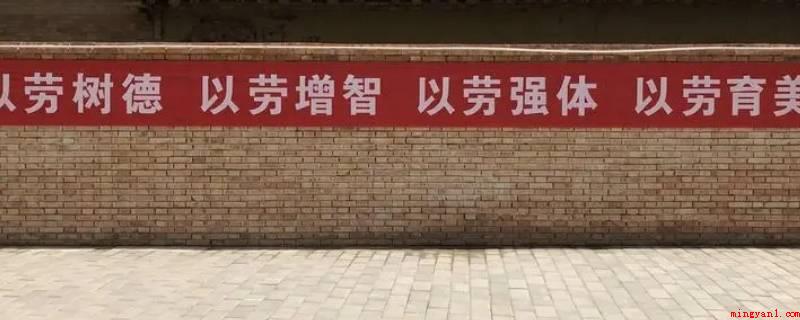 劳育指什么(劳育指劳动文化教育的通称)