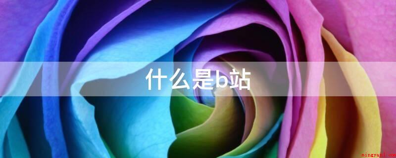什么是b站(华为P40手机上EMUI11系统软件下实际操作)