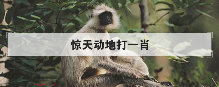 惊天动地打一肖(简略回应英雄王座打一生肖是猴,惊天动地的意思是使天地惊扰)