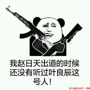 赵日天是什么梗(网络红人叶良辰火了之后一个同样什么的人物)
