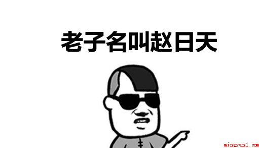 赵日天是什么梗(网络红人叶良辰火了之后一个同样什么的人物)