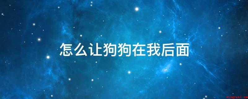 怎么让狗狗在我后面(遛狗时让狗狗在自身前边或是后边_宠物频道)