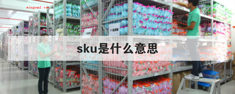 sku是什么意思(简略回应sku表明库存值企业)