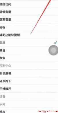 苹果12截图怎么截（iPhone12系统下载）