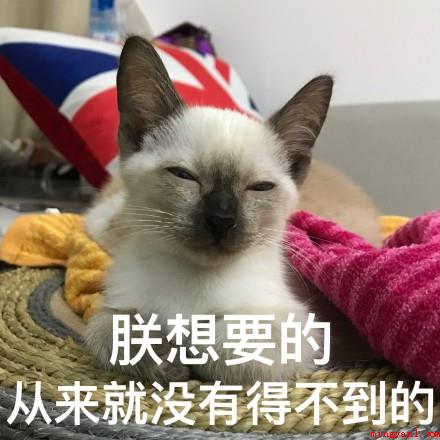 欧神