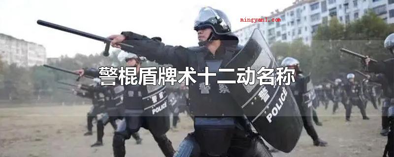 警棍盾牌术十二动名称(警棍盾牌术十二个动作的命名)