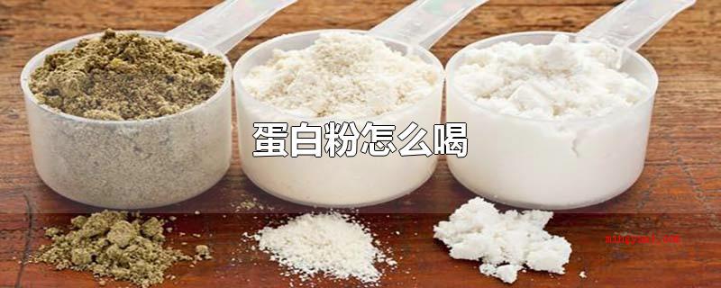蛋白粉怎么喝(如何喝冲泡蛋白粉的水只提议应用20°C上下的温开水)