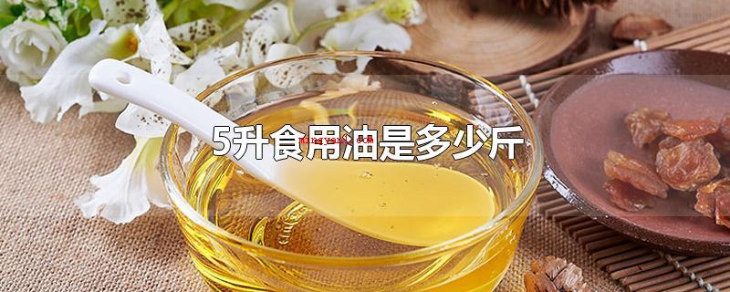 5升食用油是多少斤(5升食用油是9)