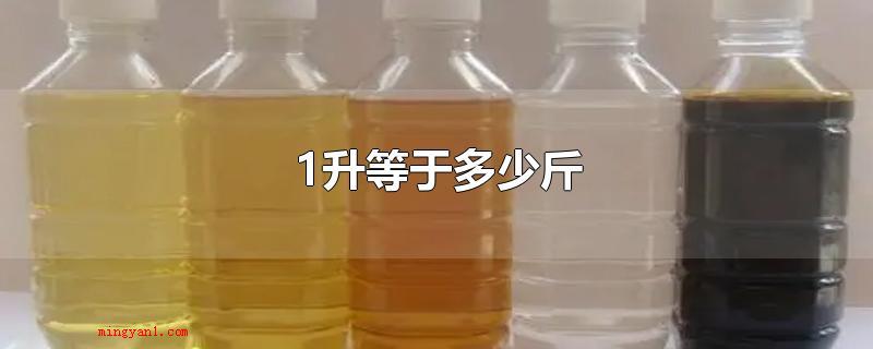 1升等于多少斤(车用汽油1升等于多少斤)