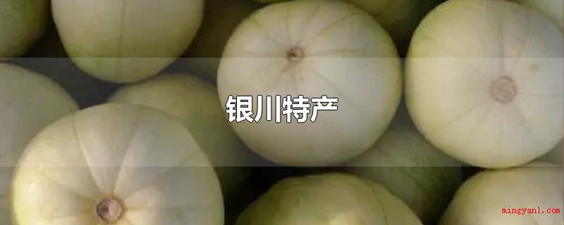 银川特产(贺兰螺丝菜,银川鲫鱼,张亮甜瓜,贺兰山东省麓红酒等)