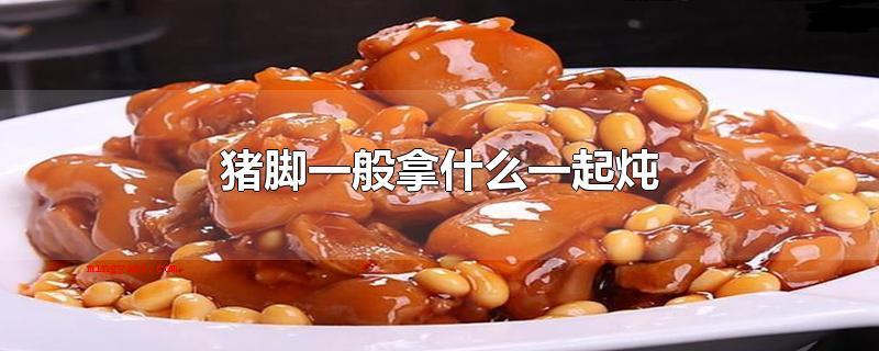 猪脚一般拿什么一起炖(猪脚一般拿哪些一起炖黄豆焖猪蹄)