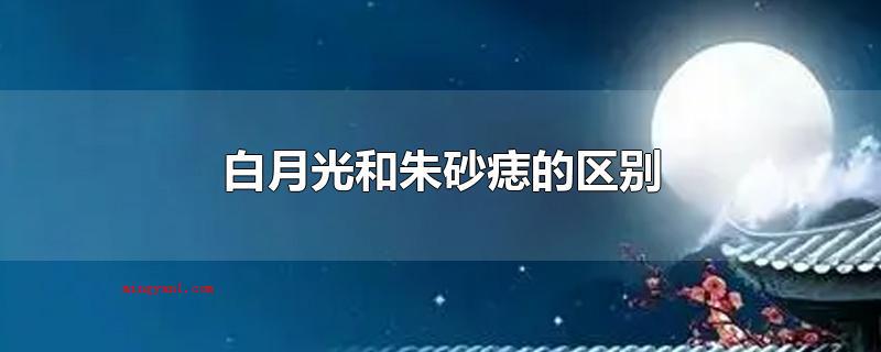 白月光和朱砂痣的区别（白月光和朱砂痣的差别_健康频道）