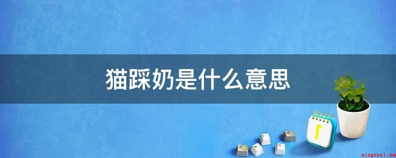 猫踩奶是什么意思(猫踩奶,是猫的一种恋母的主要表现)