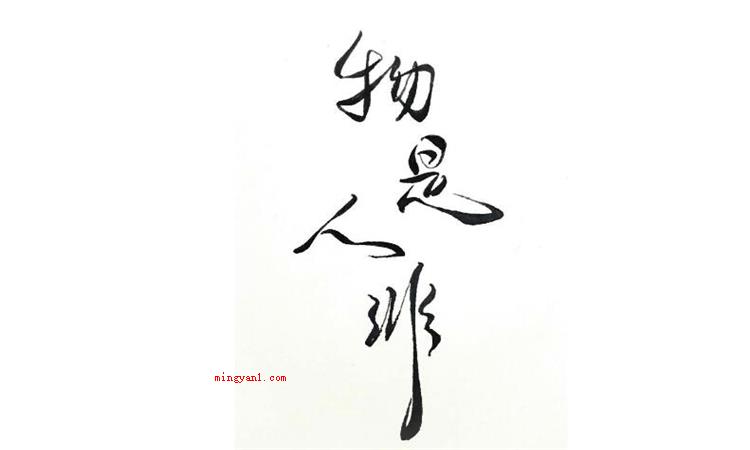 物是人非什么意思（物是人非是个成语,意思是东西还是原来的物体,可是人却已经不是）