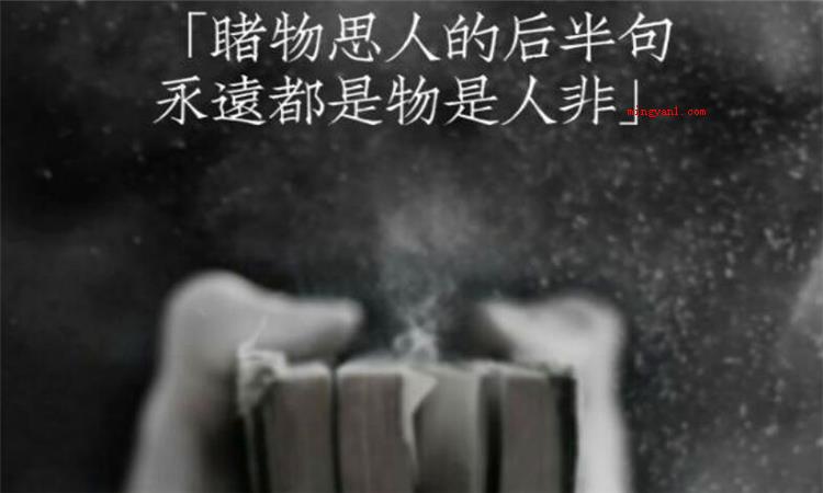 物是人非什么意思（物是人非是个成语,意思是东西还是原来的物体,可是人却已经不是）