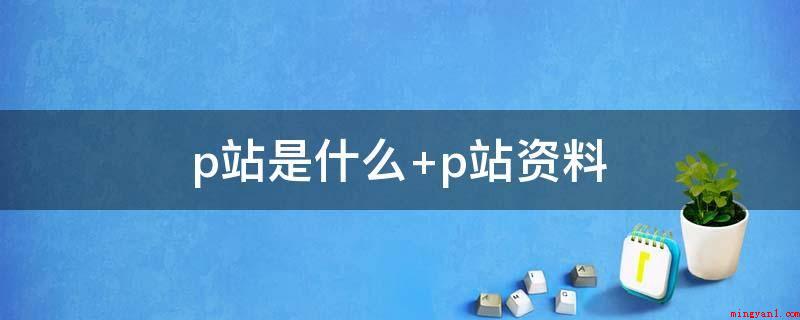 p站是什么(新起的日本同人画、插画作品共享网站)