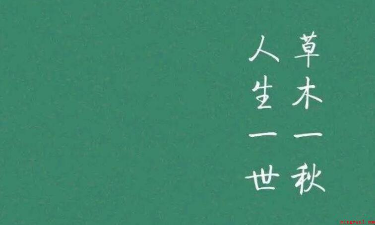 人活一世草木一秋全诗是什么