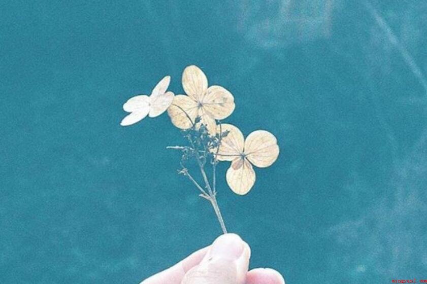 整洁气质短句有什么