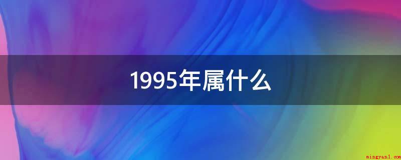 1995年属什么(木猪的人品行端正,有较为强的怜悯之心,她们对自身的日常生活充)