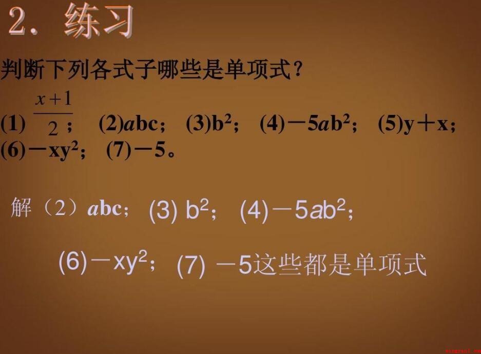单项式的定位和性质是什么