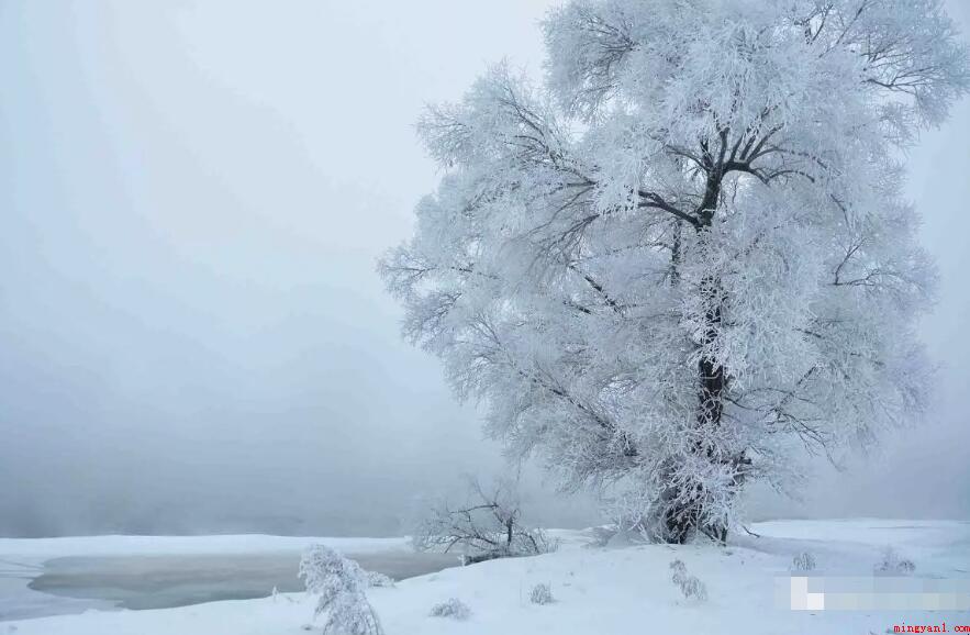 冬雪雪冬小大寒是什么意思