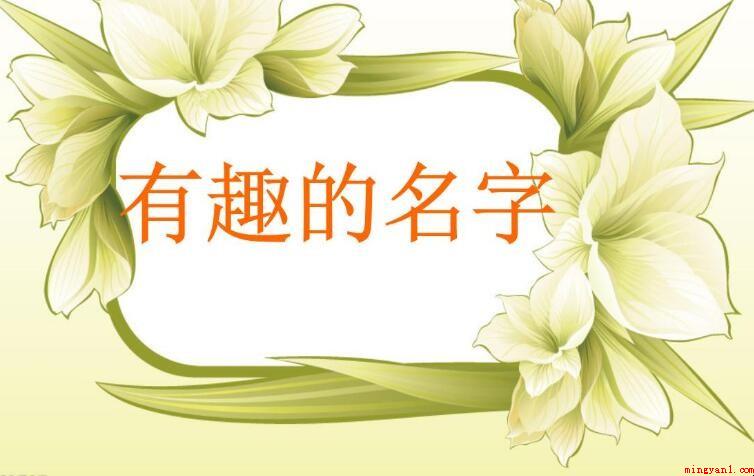 有趣的网名有哪些