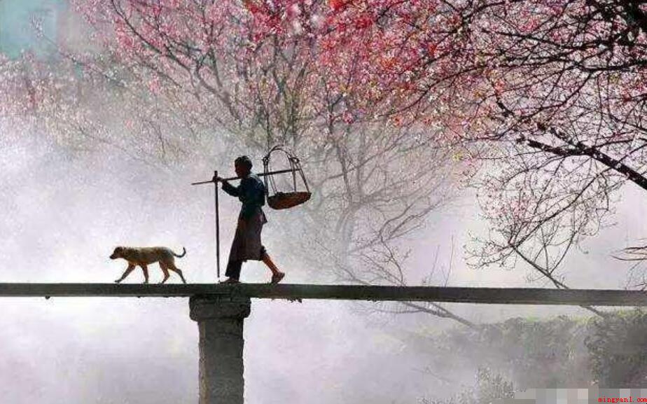 白马西风塞上,杏花烟雨江南的意思是什么