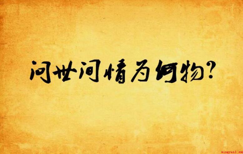 问世间情为何物下一句是什么