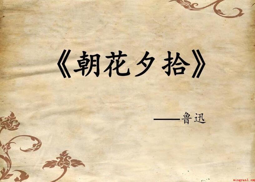 《朝花夕拾》好词好句摘抄有什么