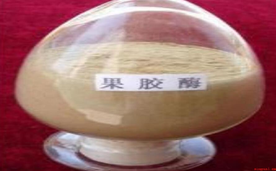 果胶酶的造成是什么