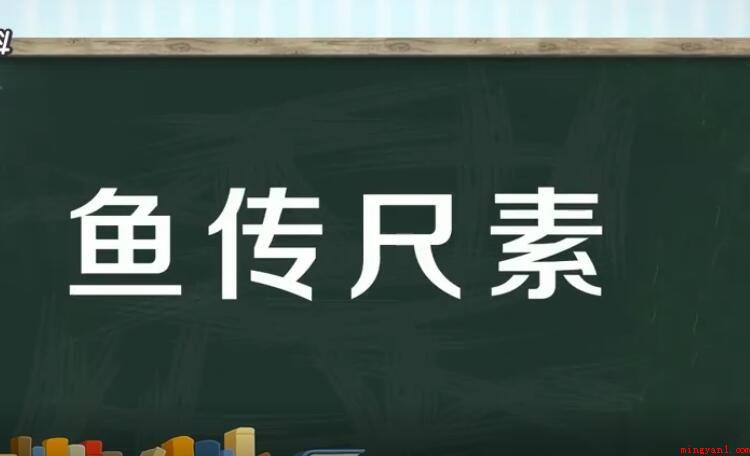 鱼传尺素是什么意思