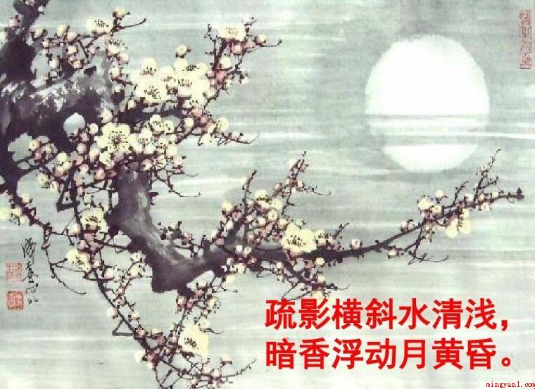 疏影横斜水浅淡,暗香浮动月傍晚是什么意思
