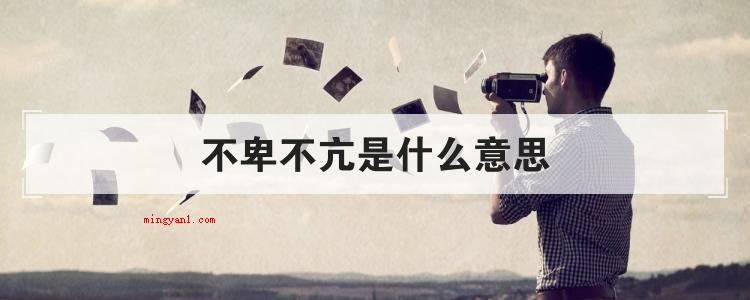 不卑不亢是什么意思(简略回应既不低声下气,也不会自豪到狂妄自大,形容一个人)