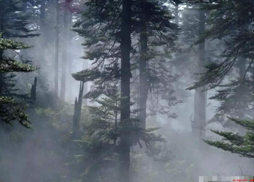 什么是瘴气