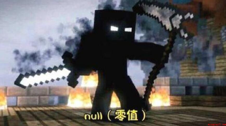 null有什么普遍的含意